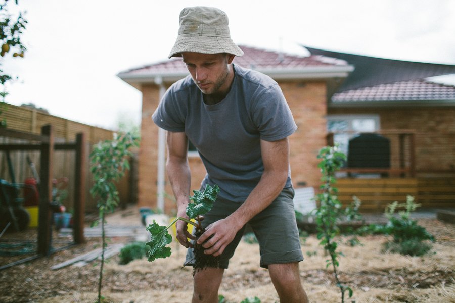 Pure Food Gardens 011