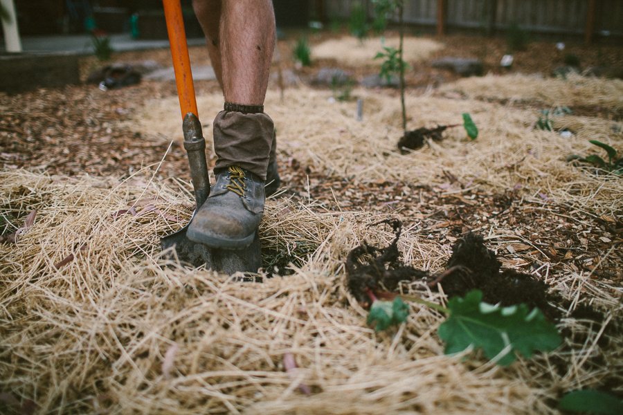 Pure Food Gardens 012