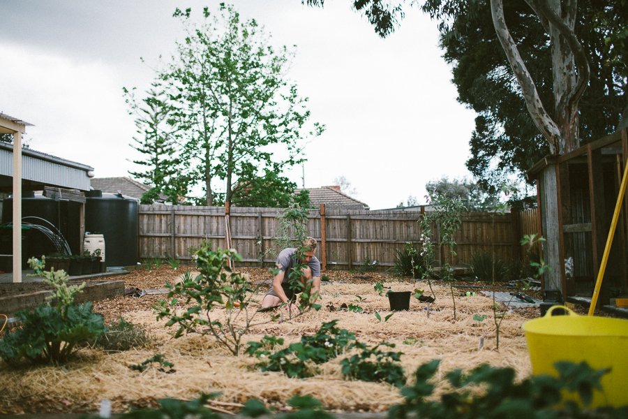 Pure Food Gardens 013