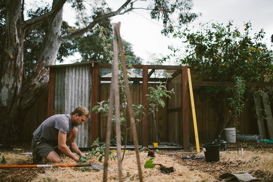 Pure Food Gardens 014