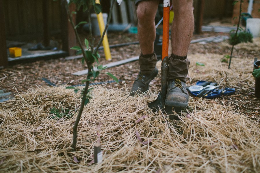 Pure Food Gardens 017