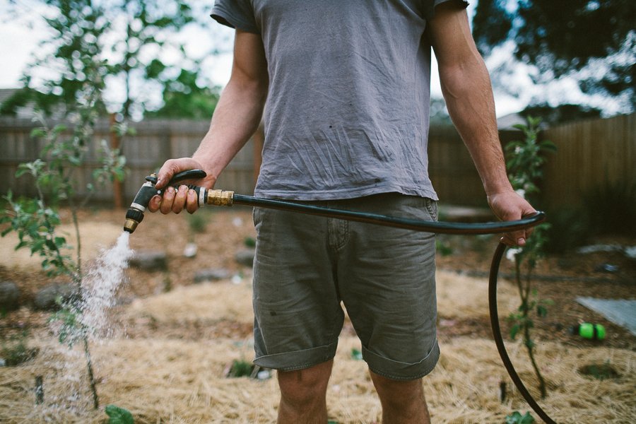 Pure Food Gardens 019