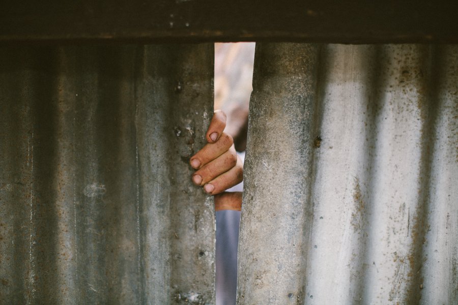 Pure Food Gardens 025