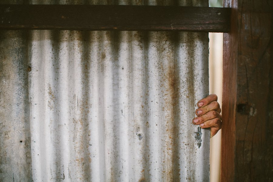 Pure Food Gardens 026