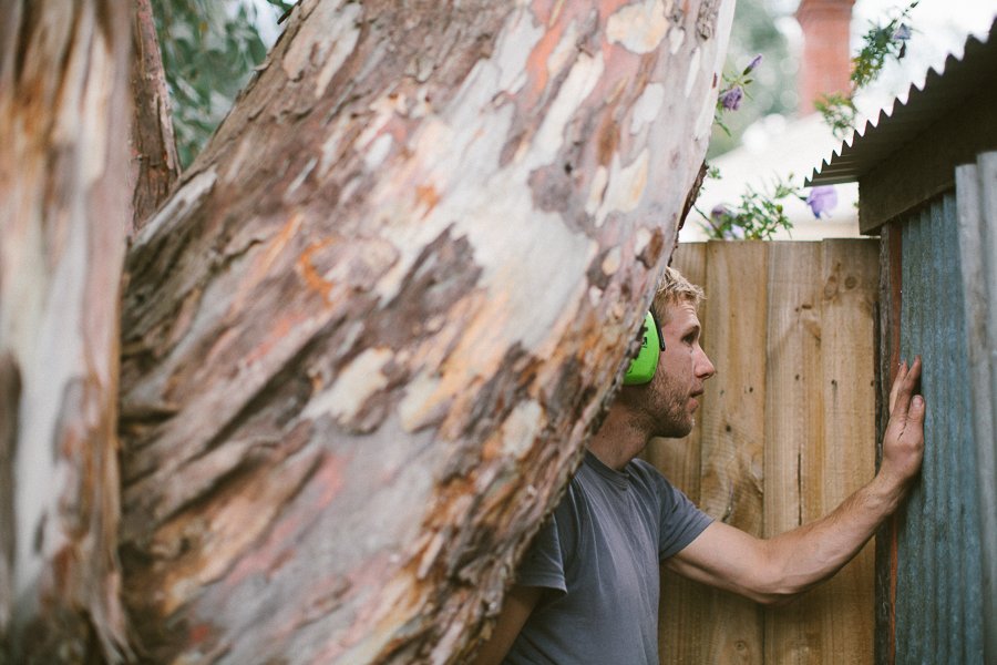 Pure Food Gardens 034