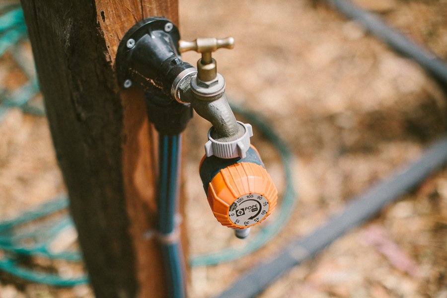 Pure Food Gardens 037