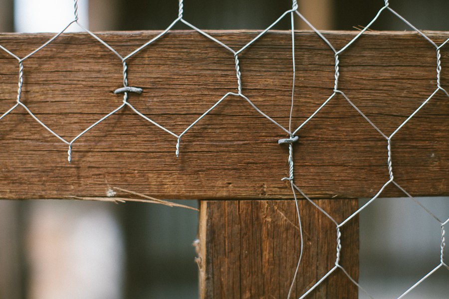 Pure Food Gardens 039