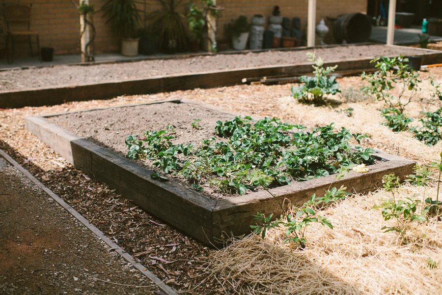 Pure Food Gardens 043