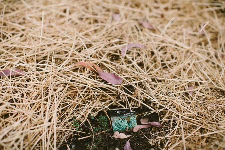 Pure Food Gardens 044