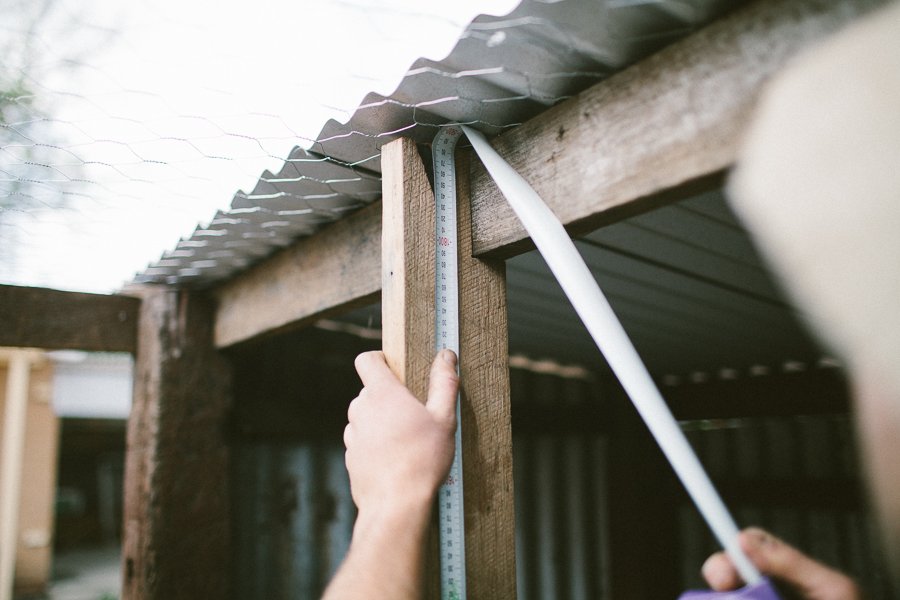 Pure Food Gardens 056